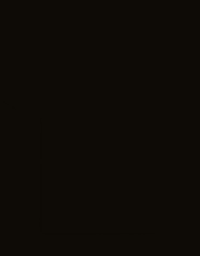 Back_3_c_1.jpg