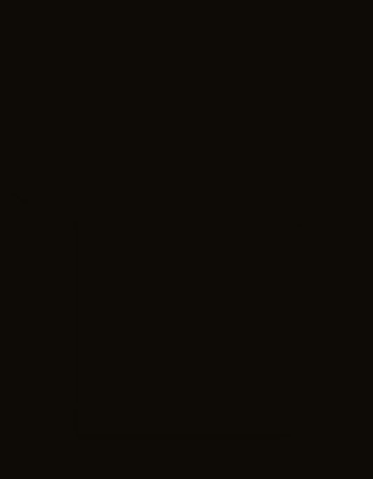 Back_3_c_1.jpg